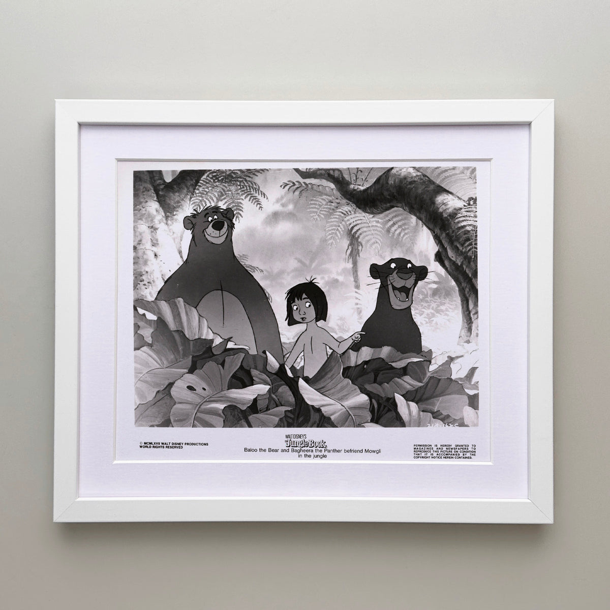 The Jungle Book 1967 Publicity Film Movie Press Still Framed