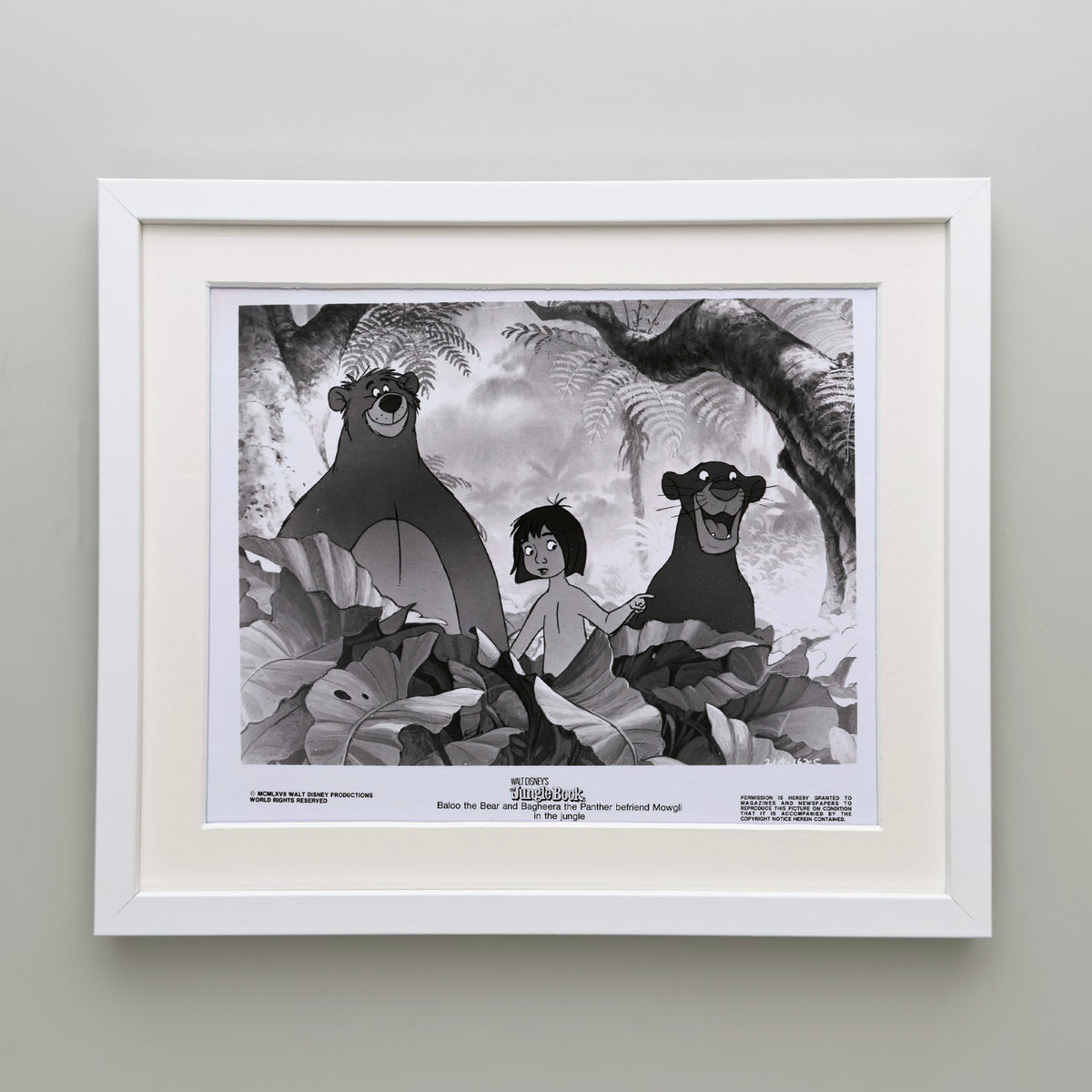 The Jungle Book 1967 Publicity Film Movie Press Still Framed