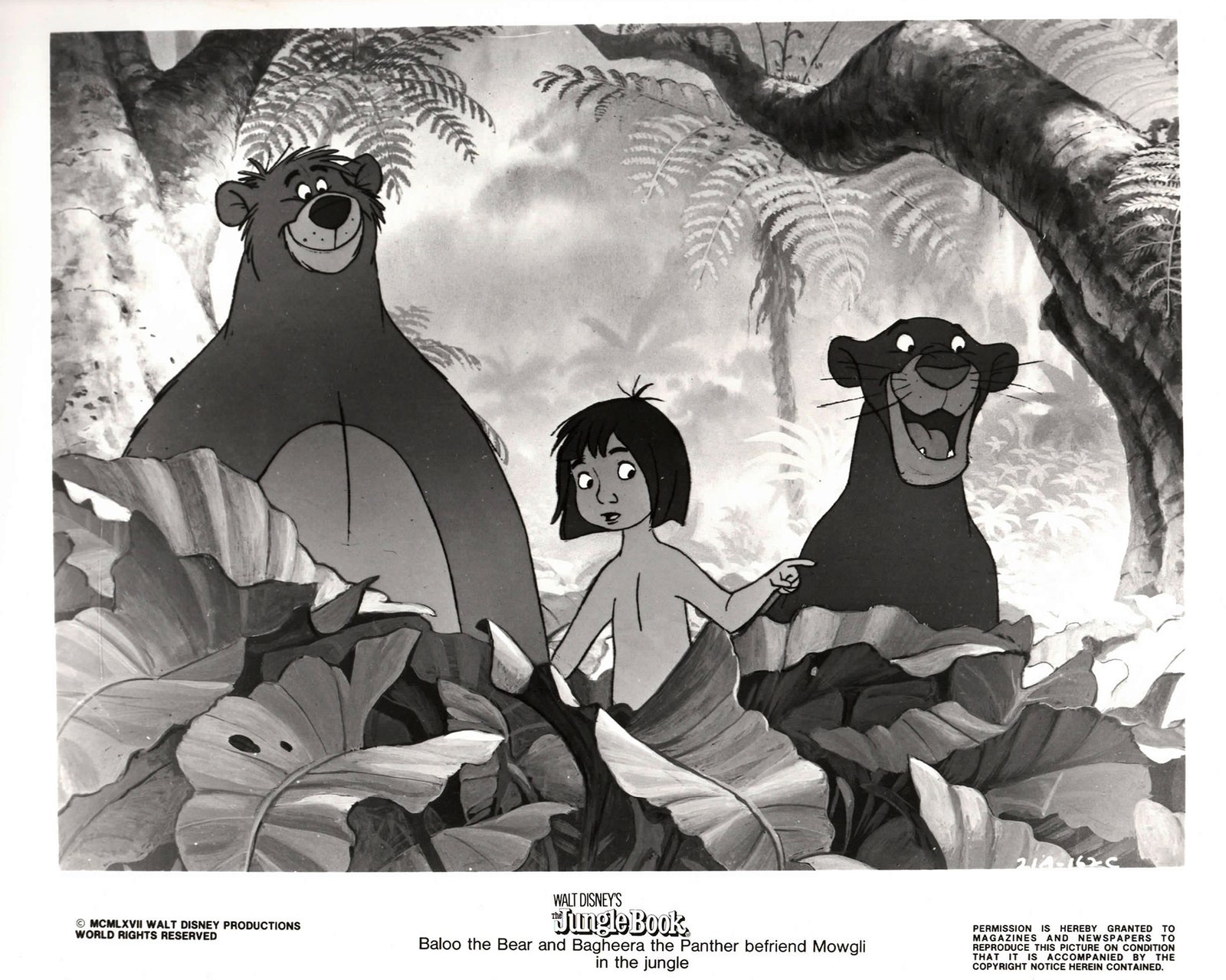The Jungle Book 1967 Publicity Film Movie Press Still Framed