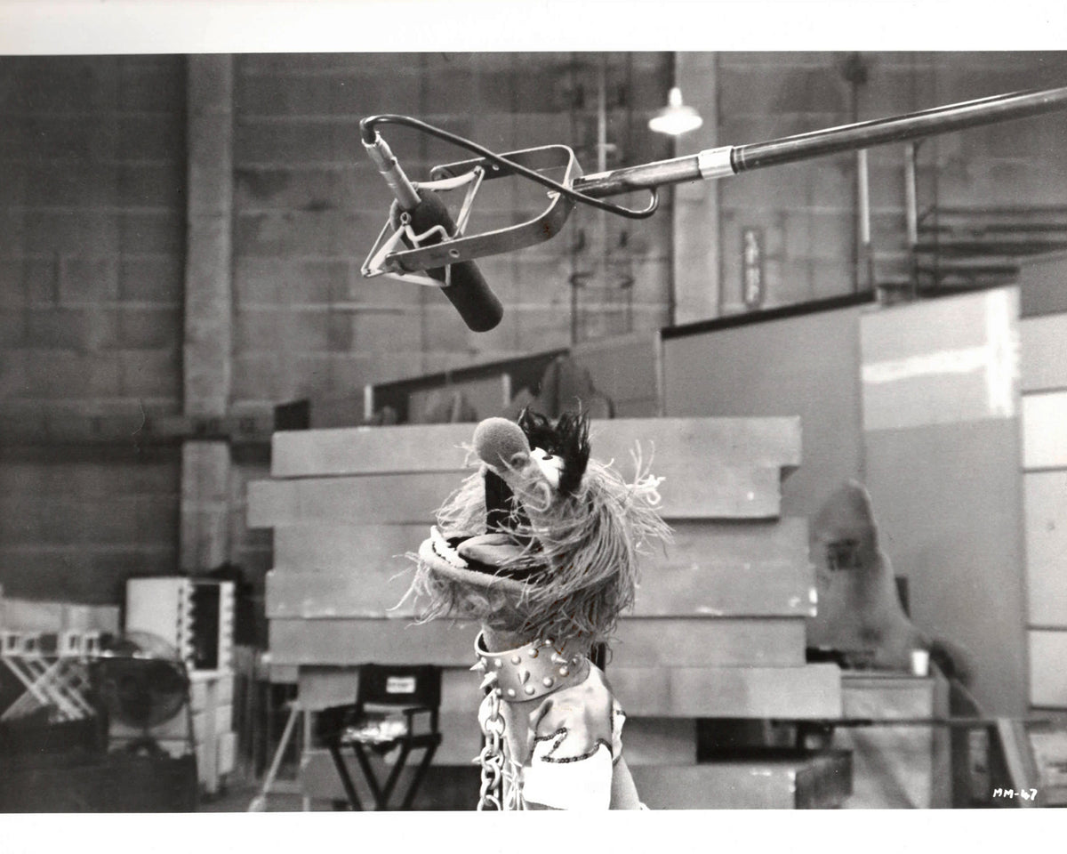 The Muppet Movie 1979 Publicity Film Movie Press Still Framed