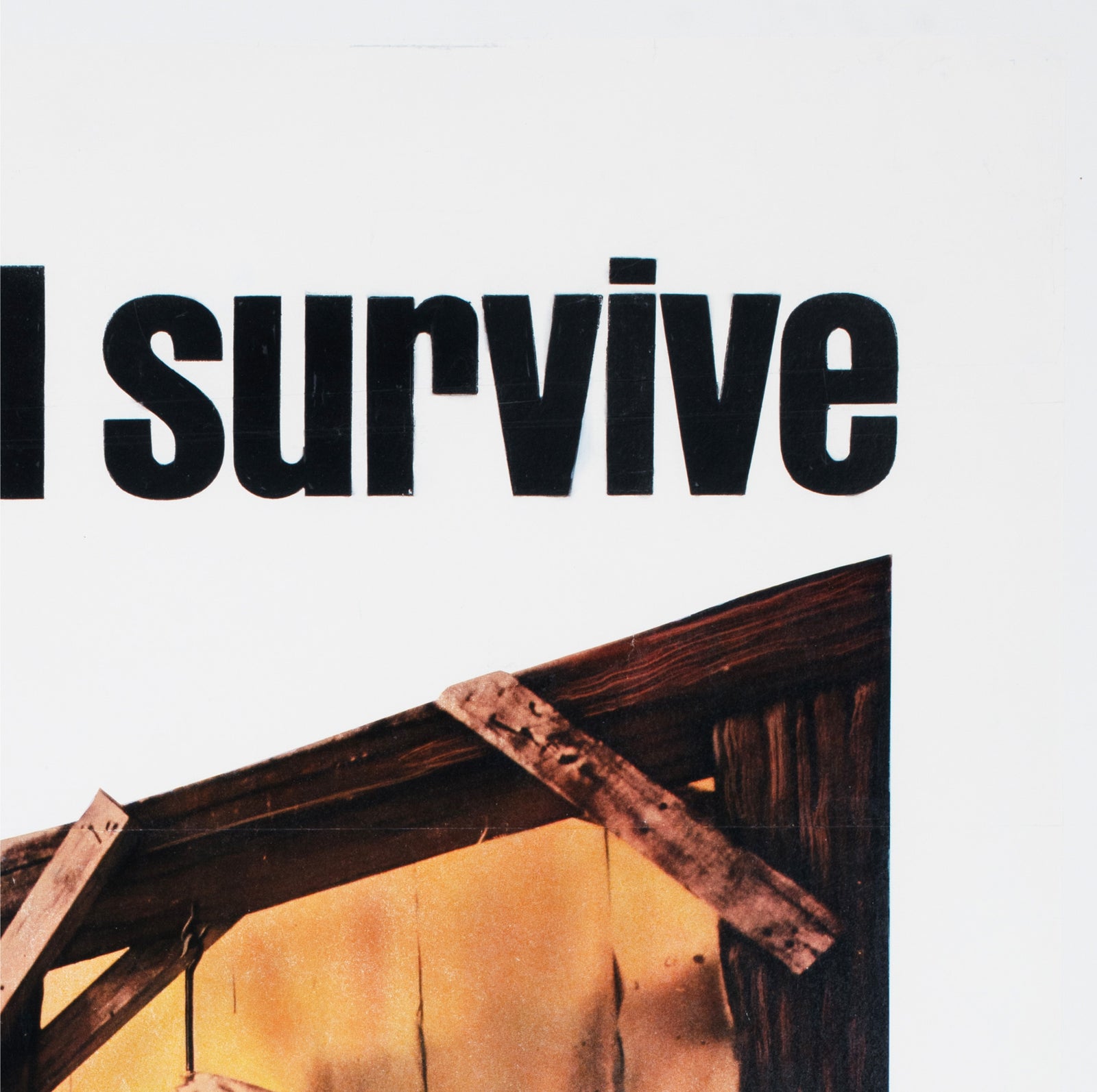 The Texas Chainsaw Massacre 1974 US 1 Sheet Film Poster - detail