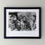 The WIld Geese 1978 Publicity Film Movie Press Still Framed