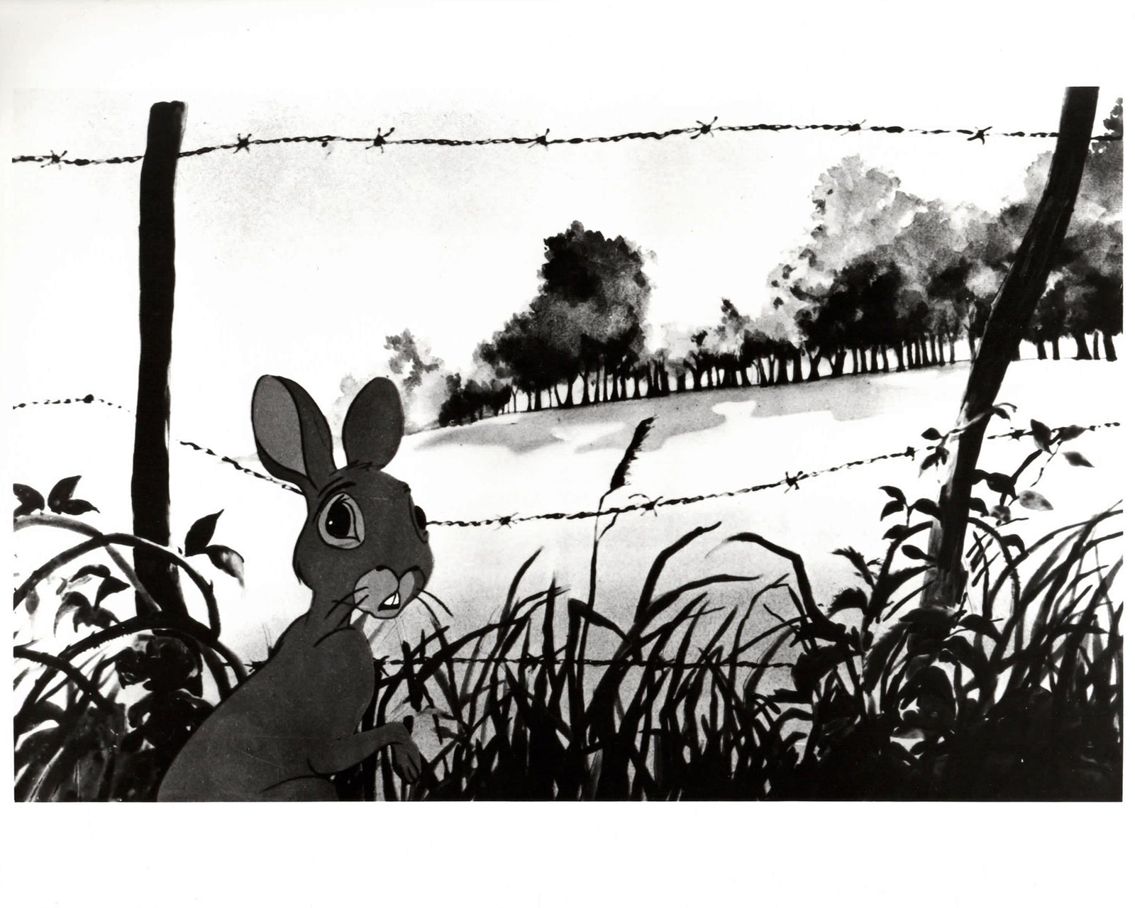 Watership Down 1978 Publicity Film Movie Press Still Framed