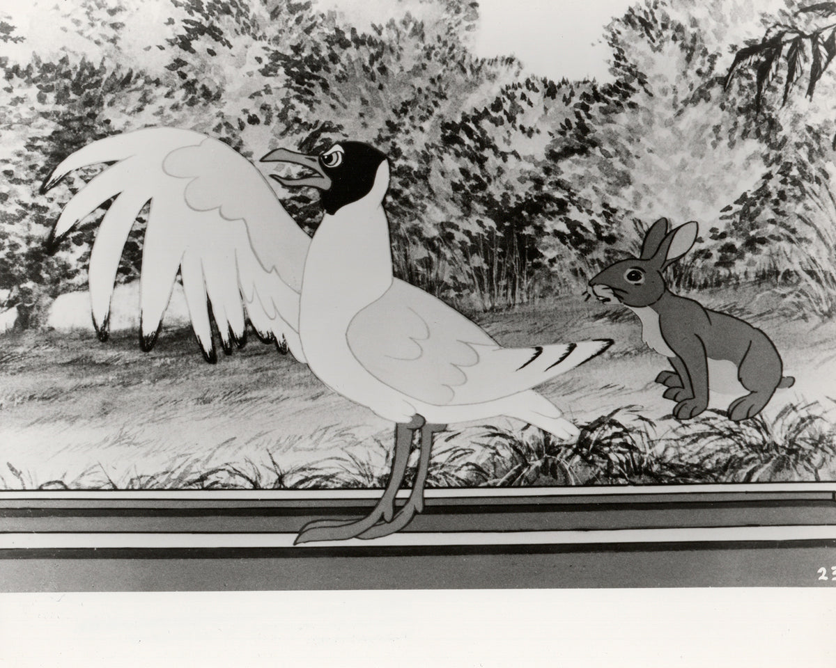 Watership Down (1978) Film Movie Press Publicity Still Framed