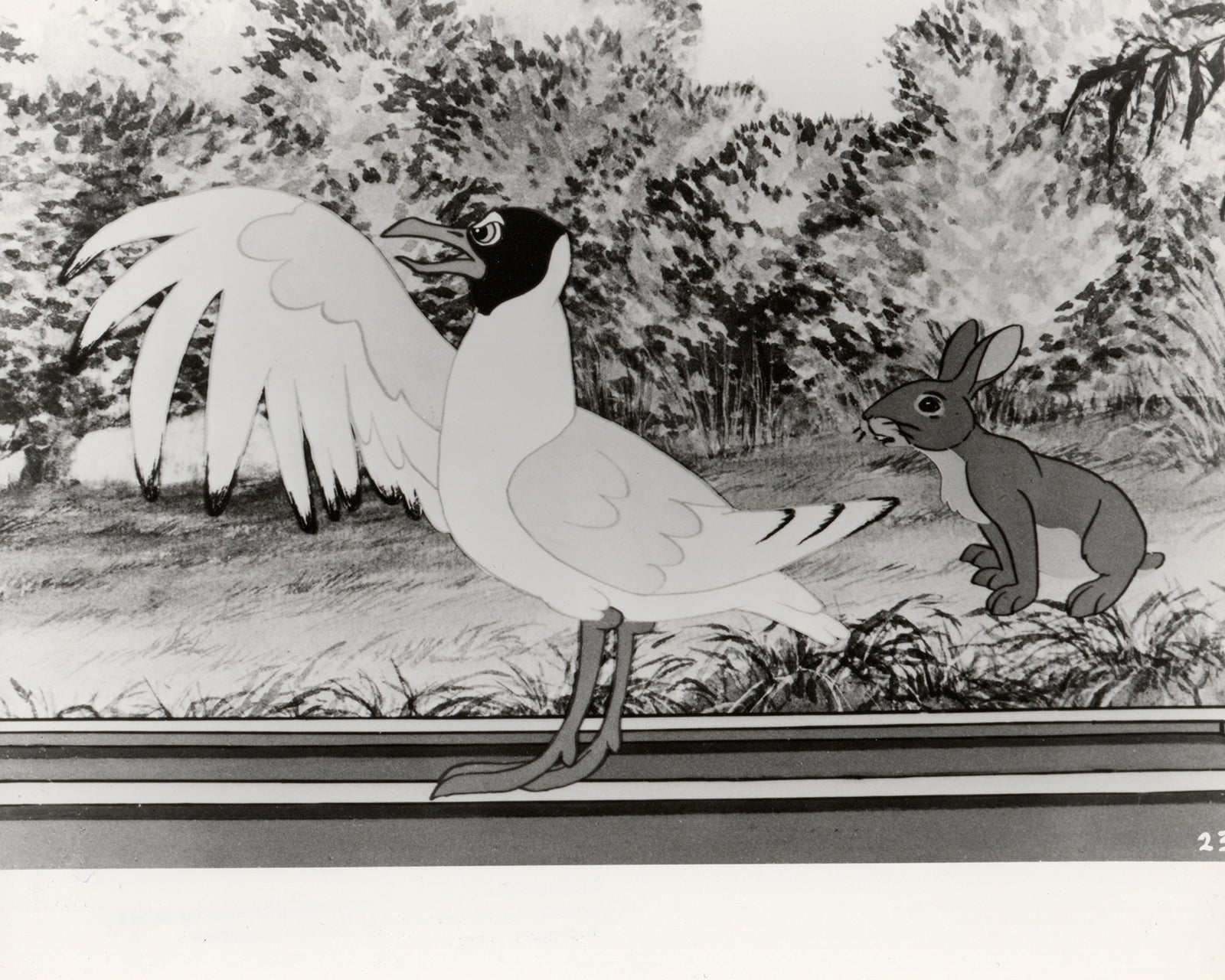 Watership Down (1978) Film Movie Press Publicity Still Framed