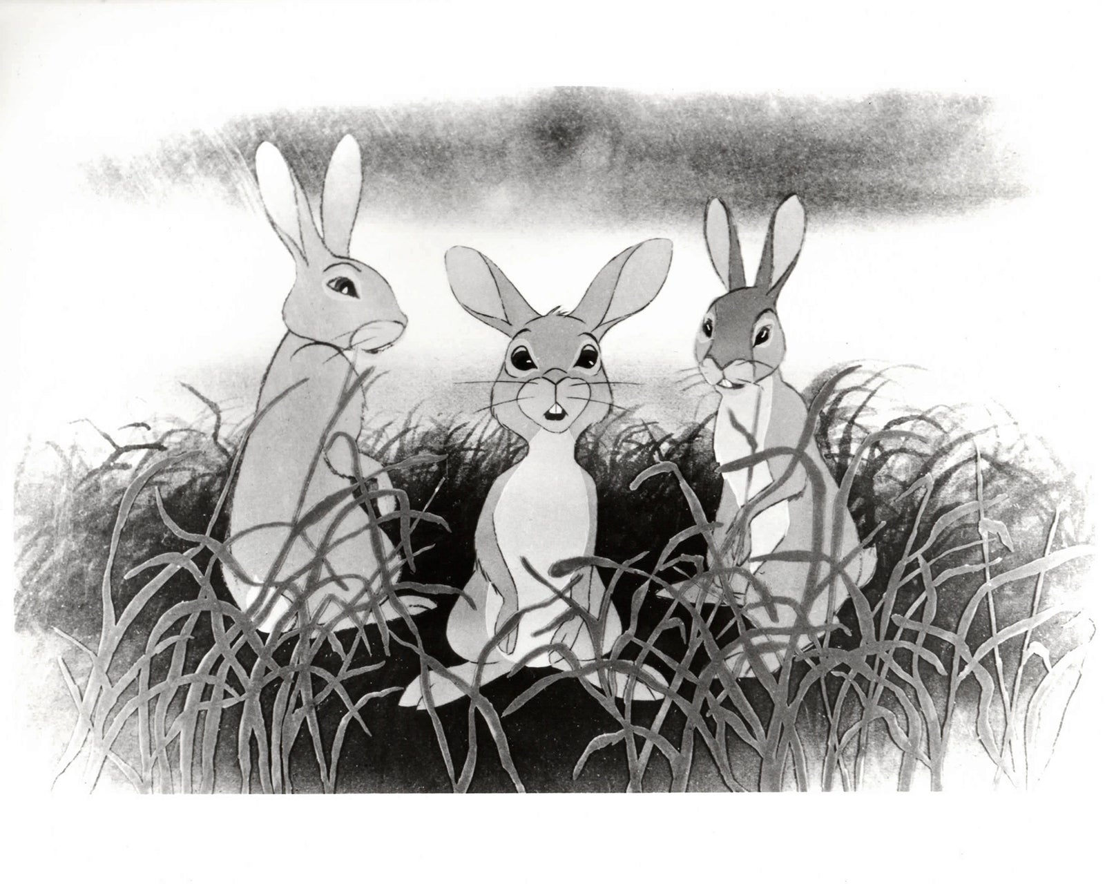 Watership Down 1978 Publicity Film Movie Press Still Framed