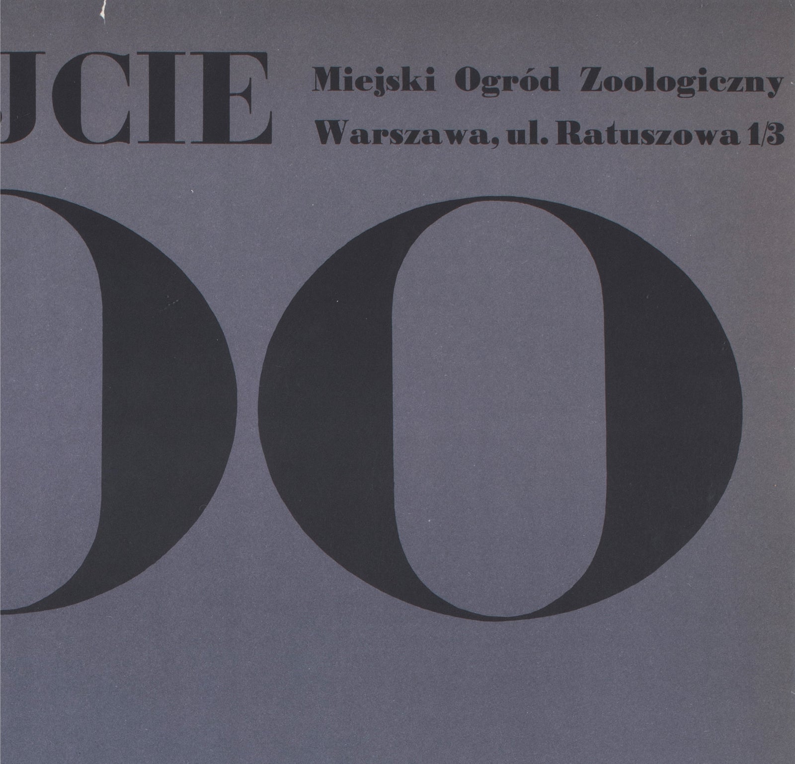Zwiedzajcie Warszawa Zoo 1967 Polish Poster Waldemar Swierzy - detail