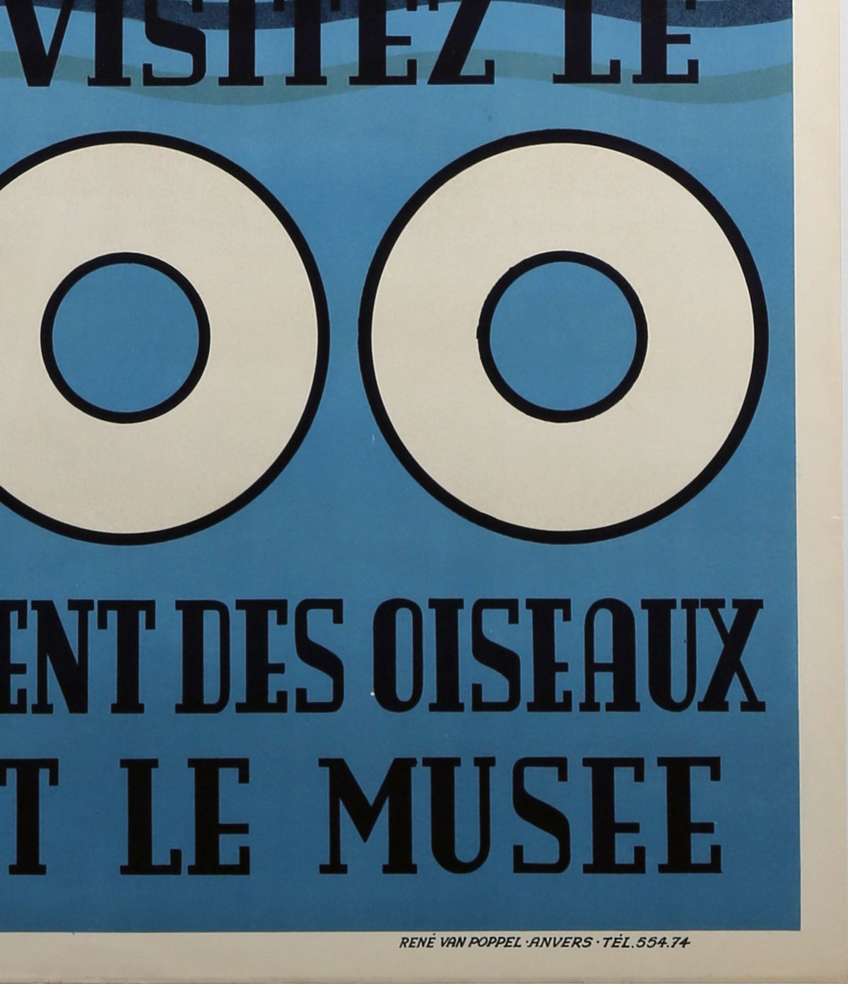 Antwerp Zoo 1950 Polar Bear Poster - Detail