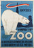 Antwerp Zoo 1950 Polar Bear Poster 