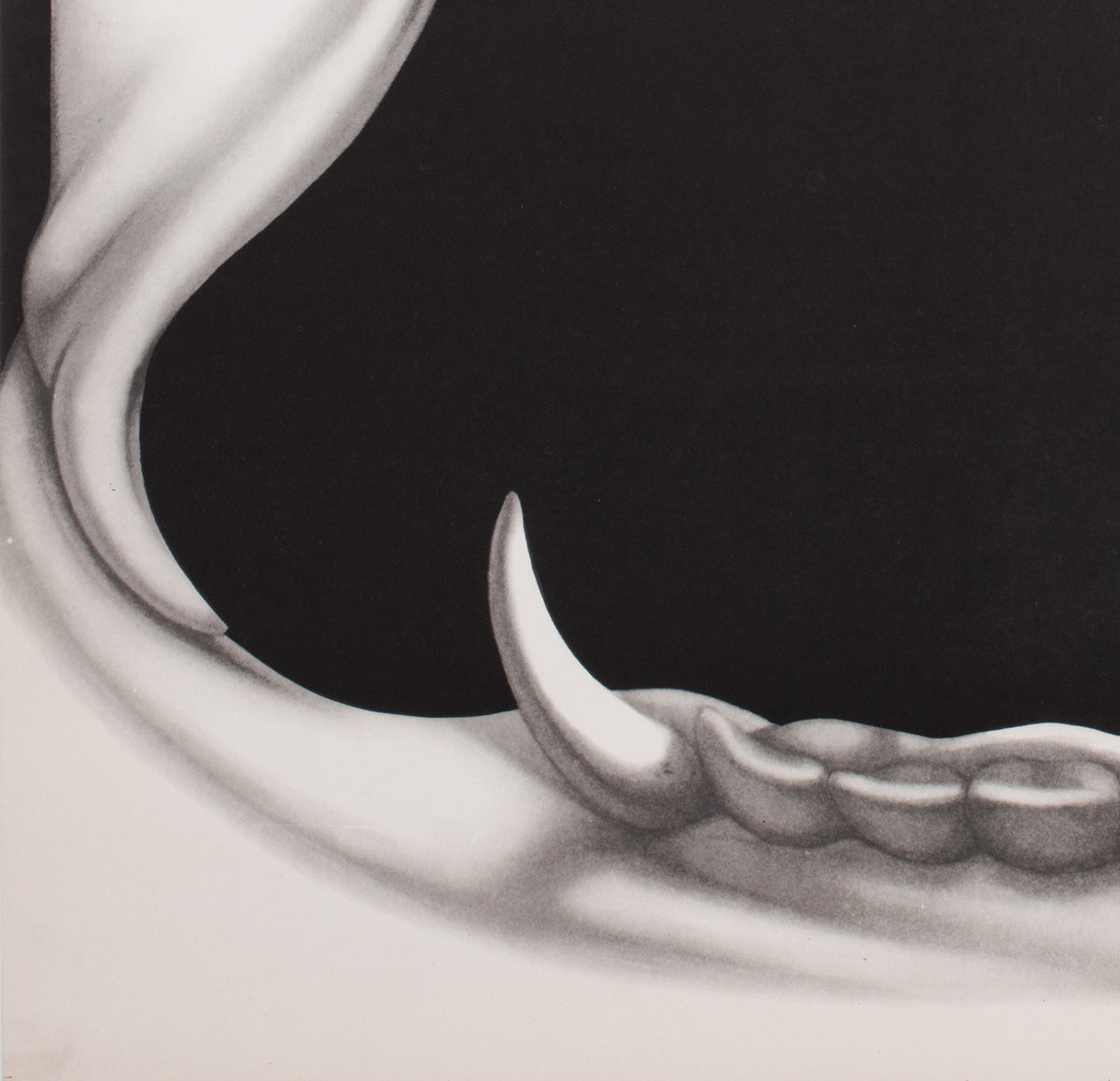 Christine 1985 Polish B1 Film Poster, Jakub Erol