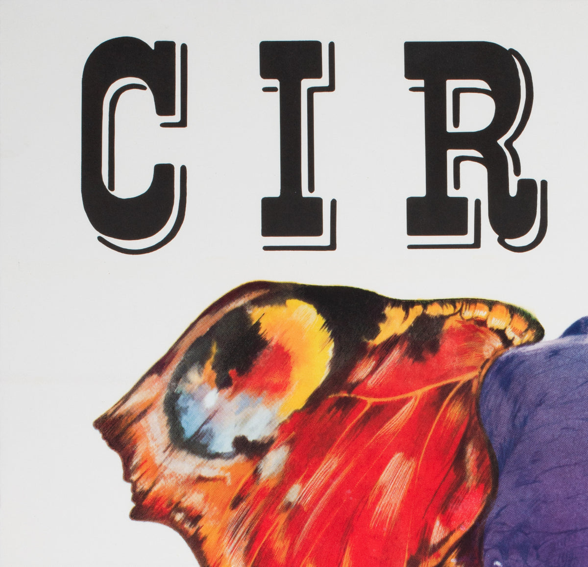 Cyrk Elephant Butterfly 1979 Polish Circus Poster, Pagowski - detail