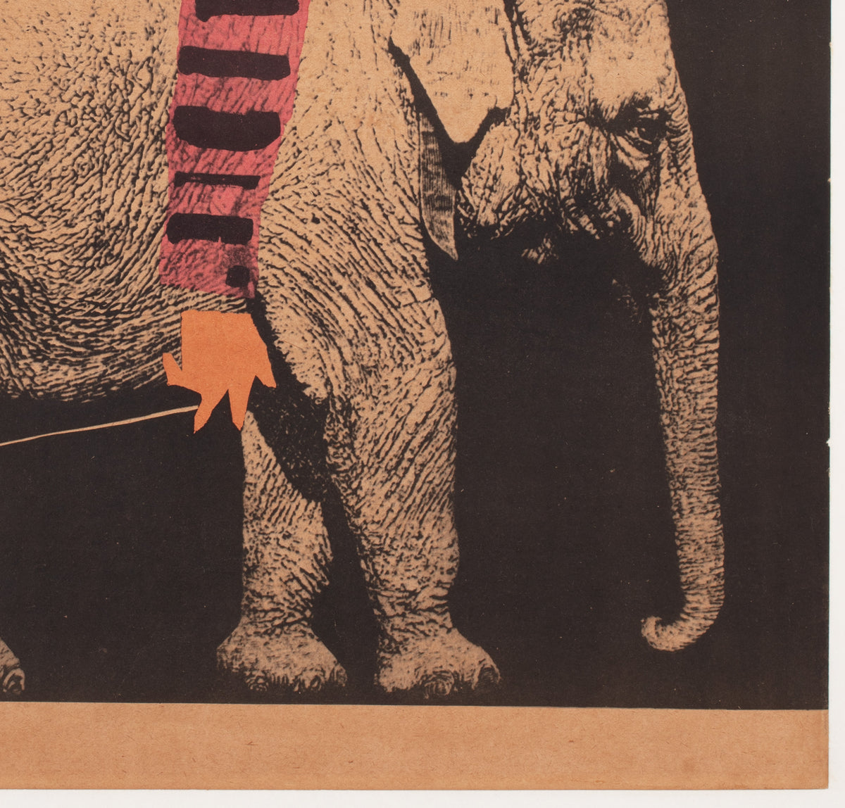 Cyrk Elephant Riding Acrobat 1962 Polish Circus Poster, Cieslewicz - detail