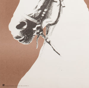 Cyrk Horses Heads 1975 Polish B1 Circus Poster, Lech Majewski - detail