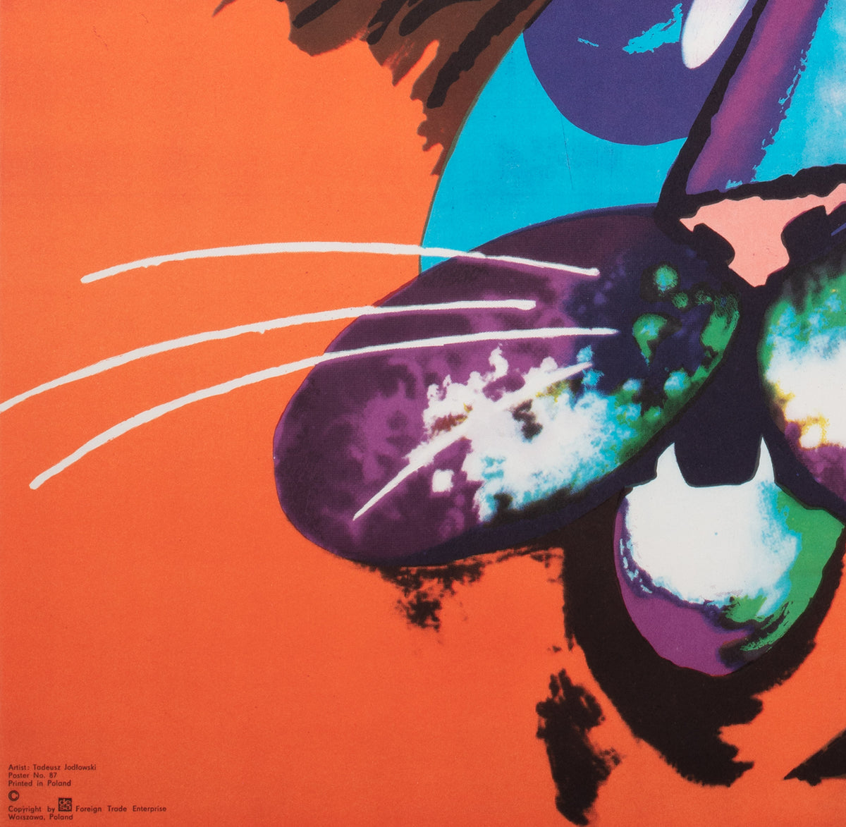 Cyrk Lion R1979 Polish Circus Poster, Jodlowski - detail