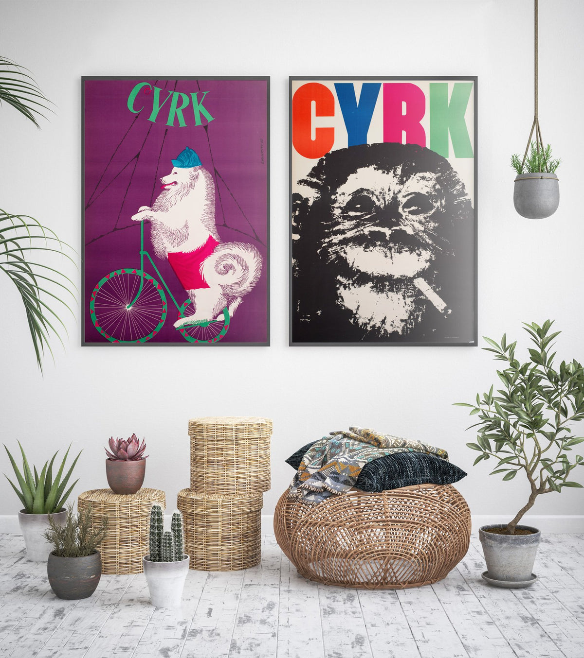 Cyrk Samoyed Cycling 1965 Polish Circus Poster, Gustaw Majewski
