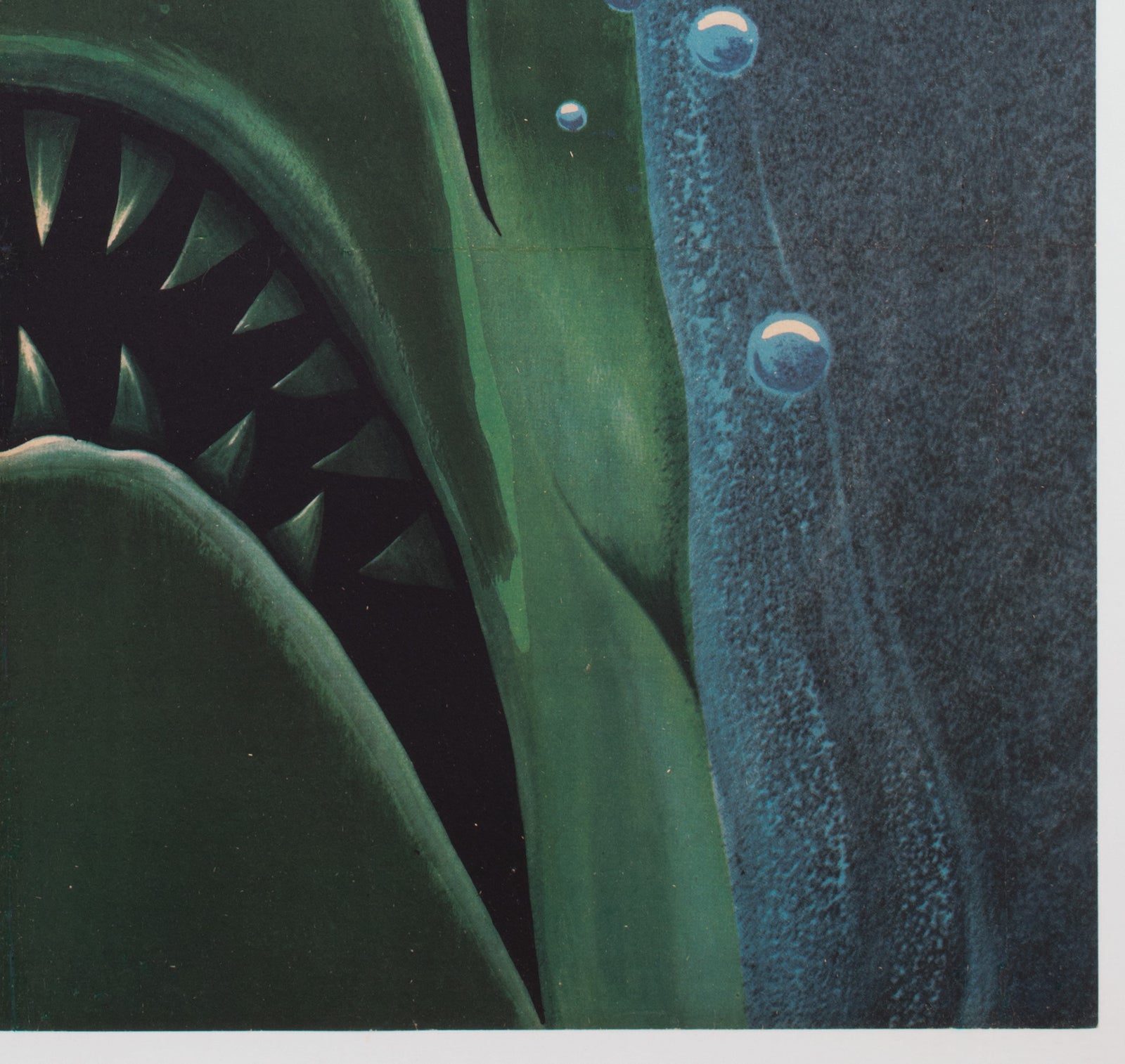 Jaws 2 1979 Polish B1 Film Poster, Edward Lutczyn