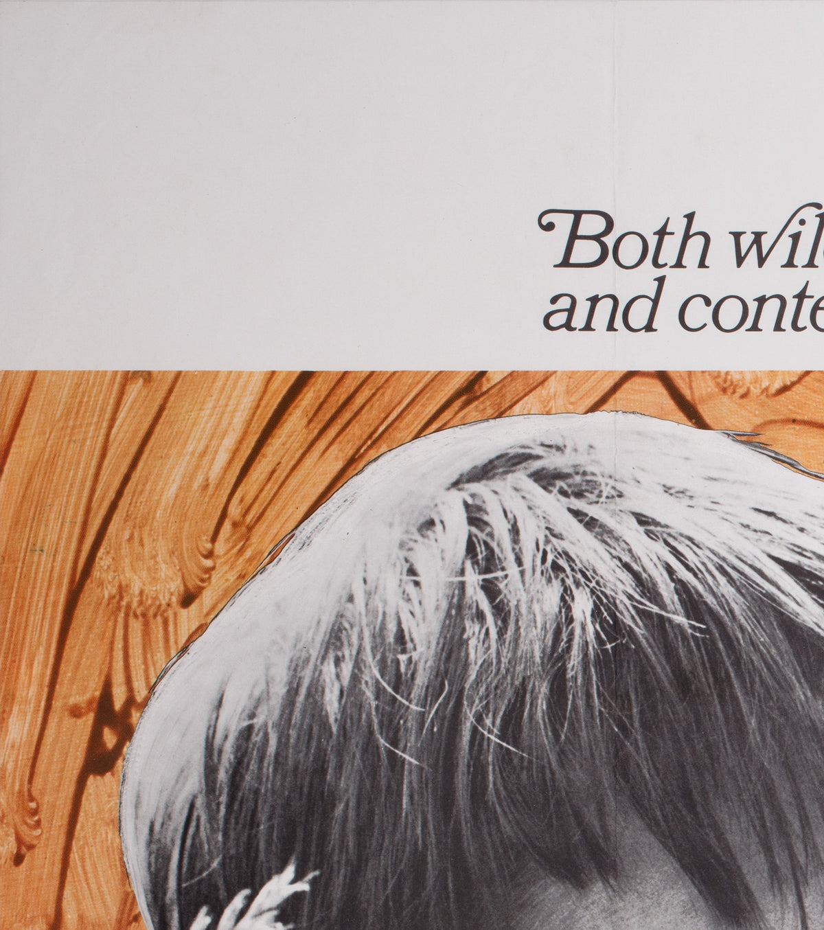 Kes 1969 UK Quad Film Movie Poster - detail