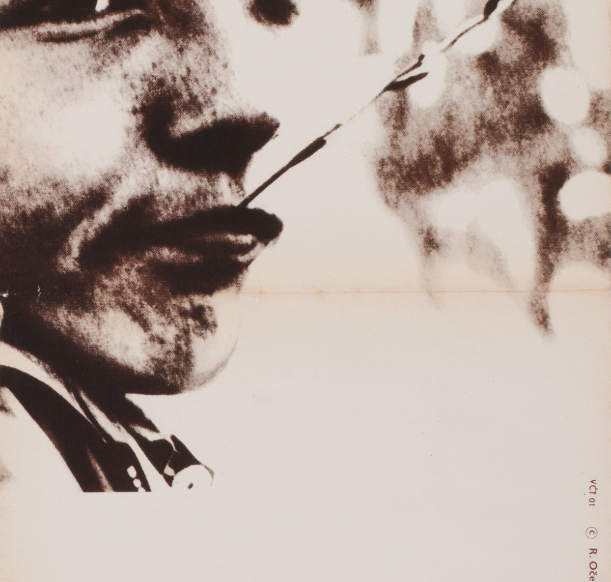 Kes 1971 Czech A1 Film Movie Poster, Radek Ocenasek - detail