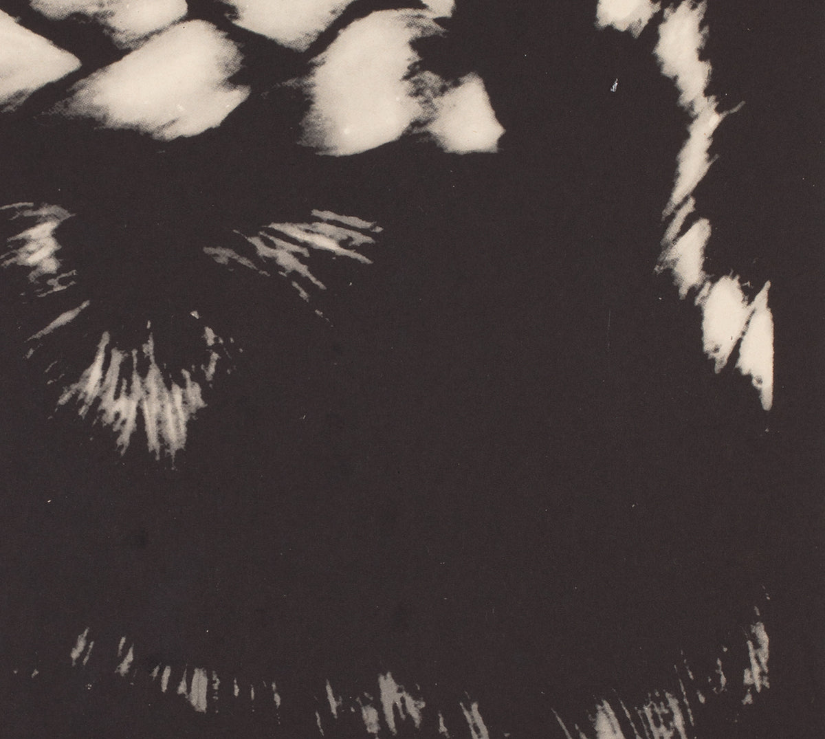 The Knack And How To Get It 1966 Czech A1 Film Poster, Grygar - detail