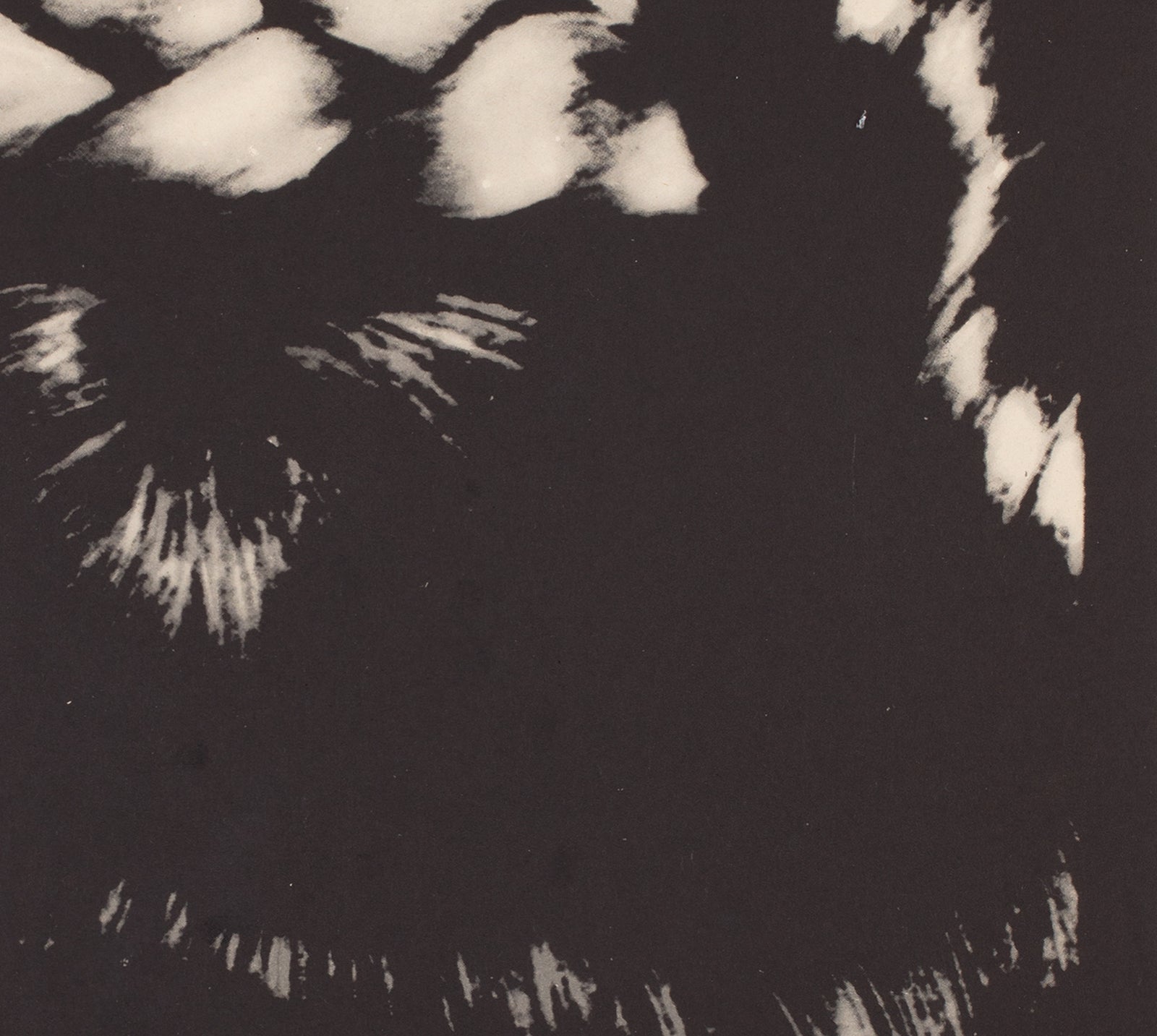 The Knack And How To Get It 1966 Czech A1 Film Poster, Grygar - detail