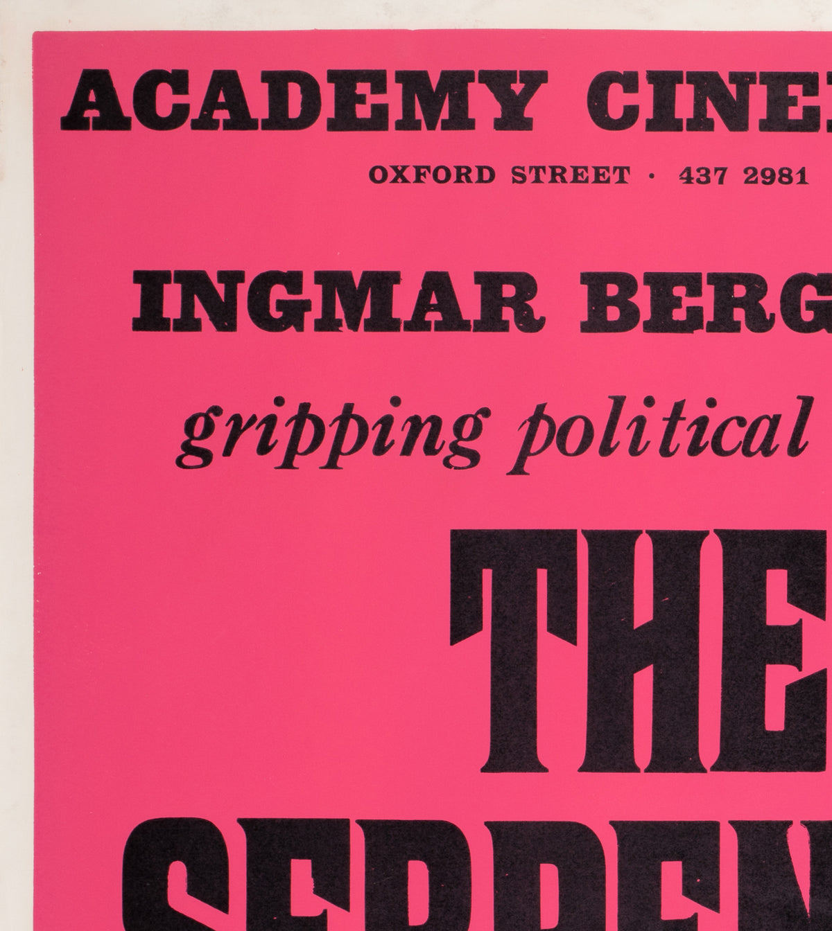 The Serpent's Egg 1978 Academy Cinema UK Quad Film Movie Poster, Strausfeld, Pink - detail